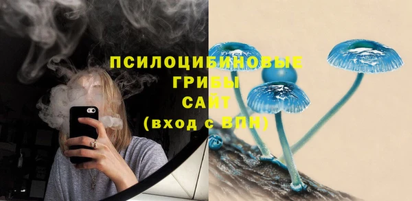 МДПВ Магас