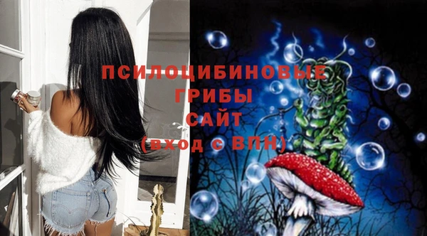 МДПВ Магас