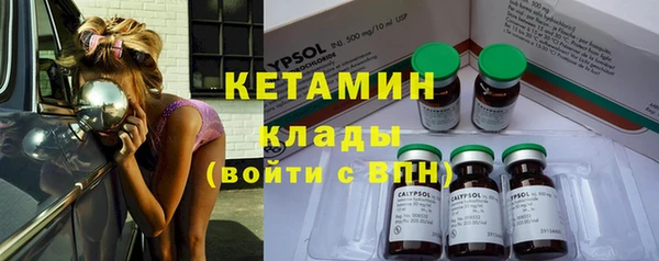 крисы Нижний Тагил