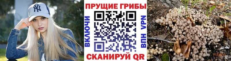 Псилоцибиновые грибы Psilocybine cubensis  где можно купить наркотик  Севастополь 
